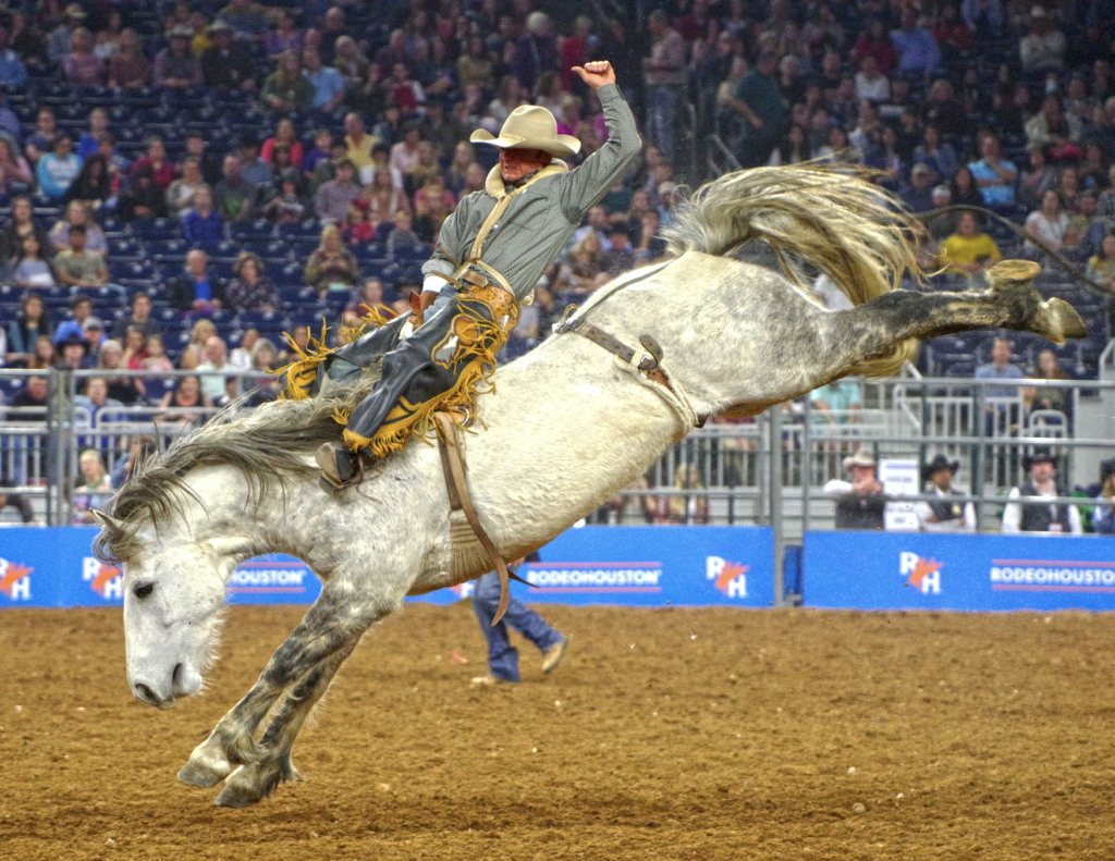 Bareback Thrill Riding at the Rodeo: This Cowboy Embraces One of the