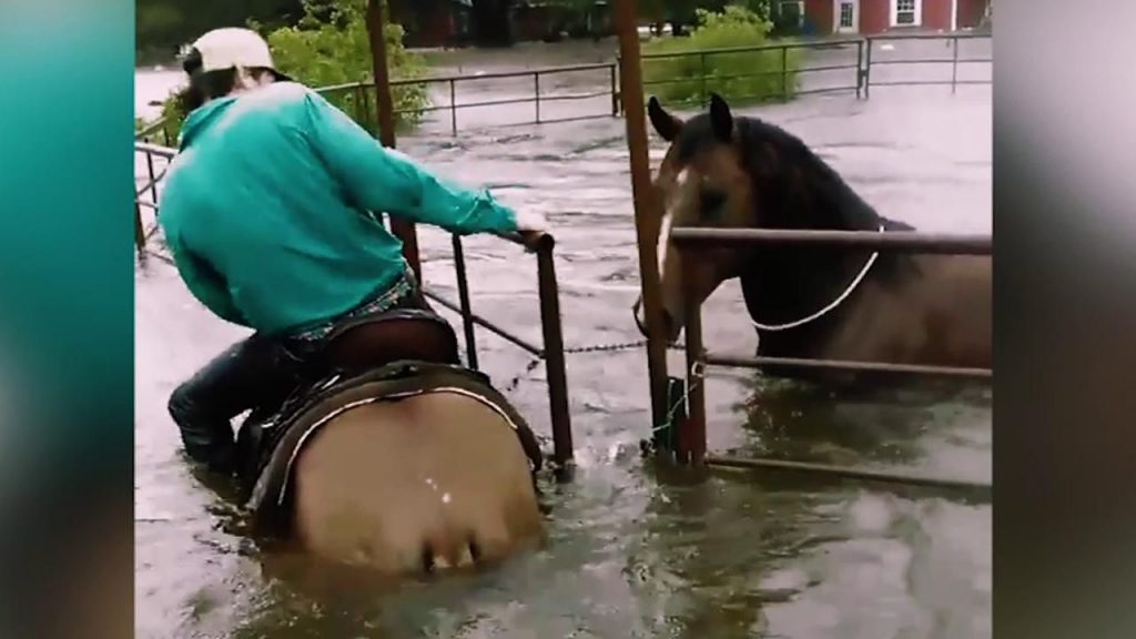 Chance Ward is the same cowboy who heroically rescued horses during Hurricane Harvey.
