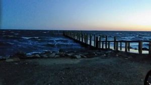 Day trip Texas city dike 3