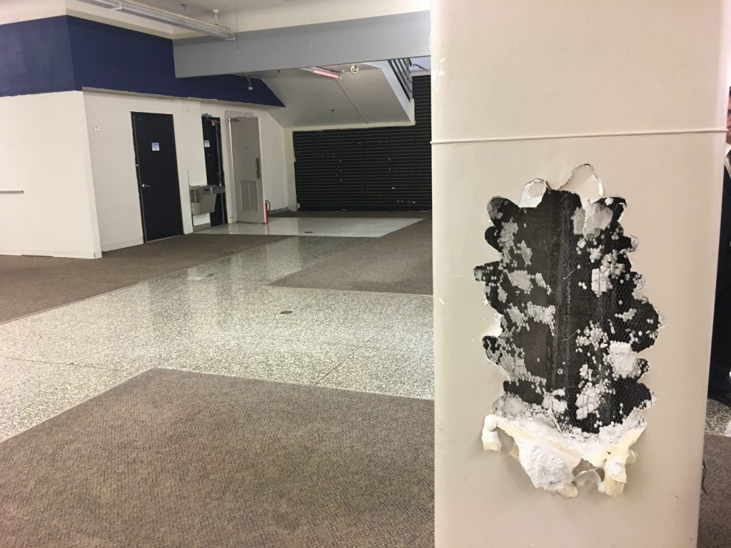 A large part of the renovation will be tearing down decades of additions to get to the original bones. 