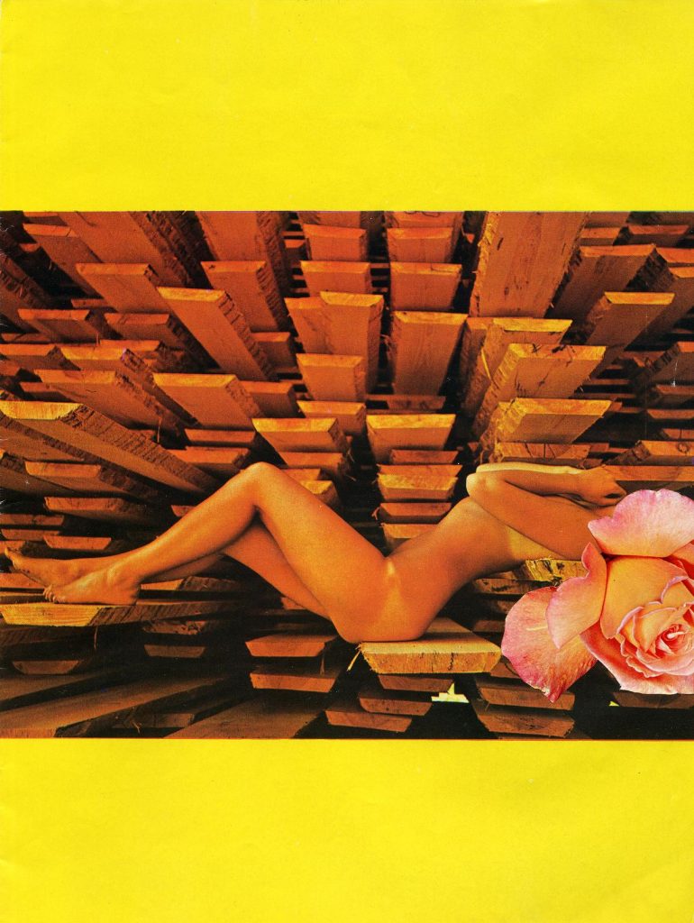 "Star Series No. 1," Linder Sterling, 2007.