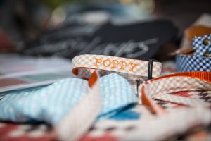Lucky Puppy Adventures customizable dog collars