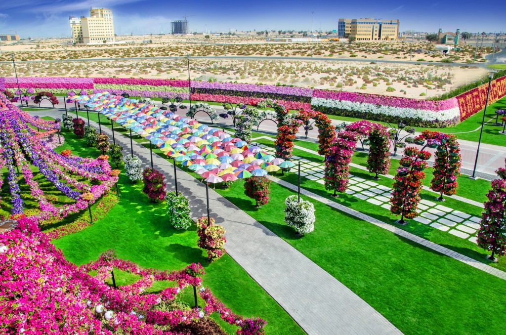 Dubai Miracle Gardens