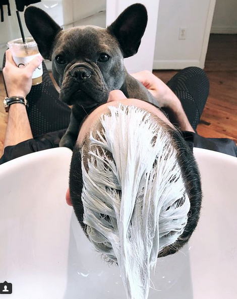 Lance McCullers' stylist Eric Vaughn posted a sneak peek to Instagram in the middle of the process. (@realericvaughn)