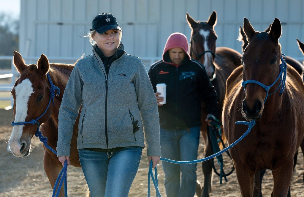 Horses being walked during a recent Legends tournament. Photo by Walter Workman