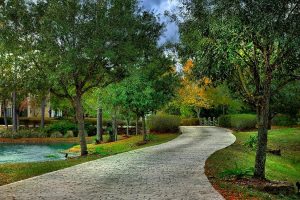 magnolia house private island