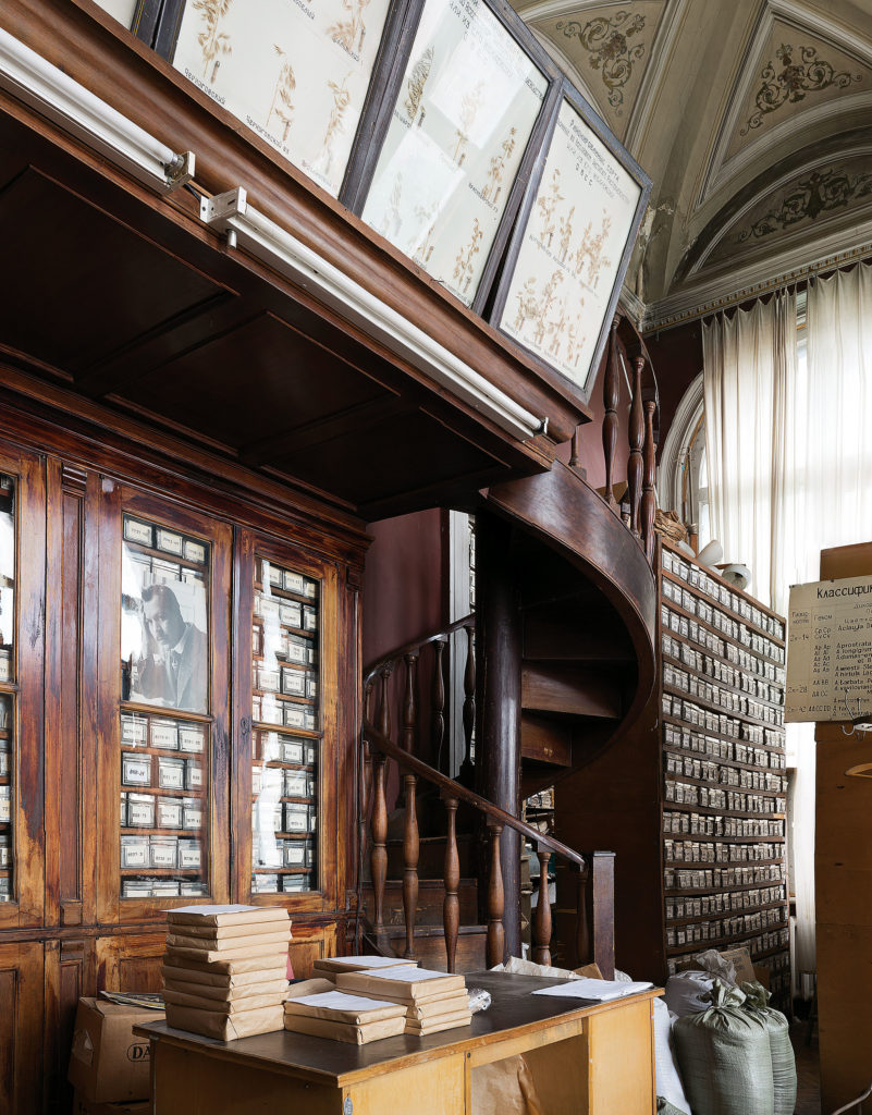 Dornith Doherty's quest involves historic seed vaults such as "Barley Collection, N. I. Vavilov Research Institute of Plant Industry, St. Petersburg, Russia," 2012. (Courtesy the artist, Moody Gallery, and Holly Johnson Gallery)
