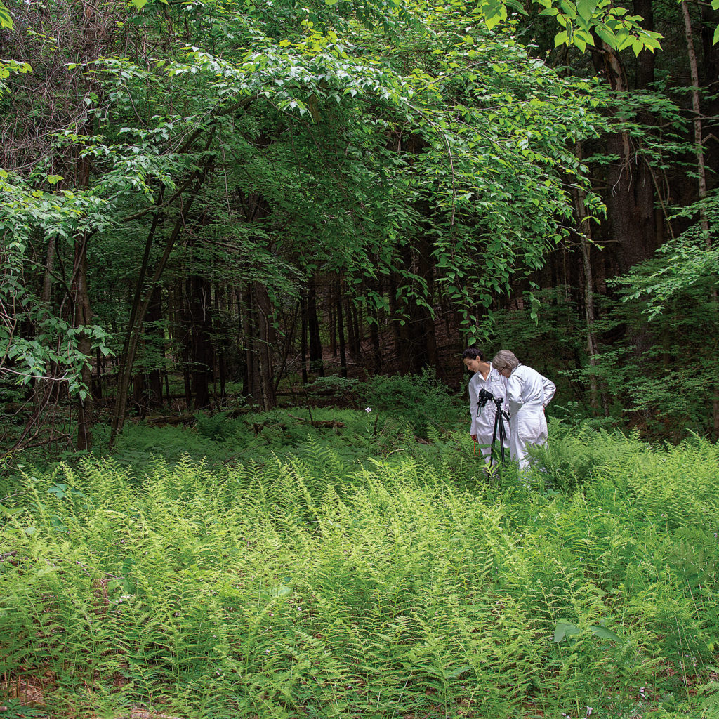 The Cary Institute of Ecosystem Studies, Millbrook, New York (Photo Pamela Freeman)