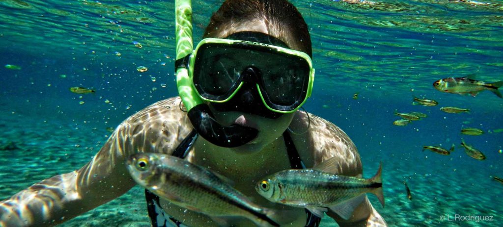 The swimming pool is home to a variety of aquatic life. 