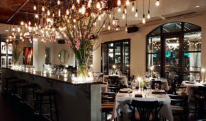 Dragonfly at Hotel ZaZa