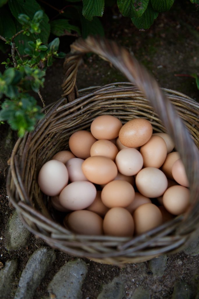 Ballymaloe House Farm