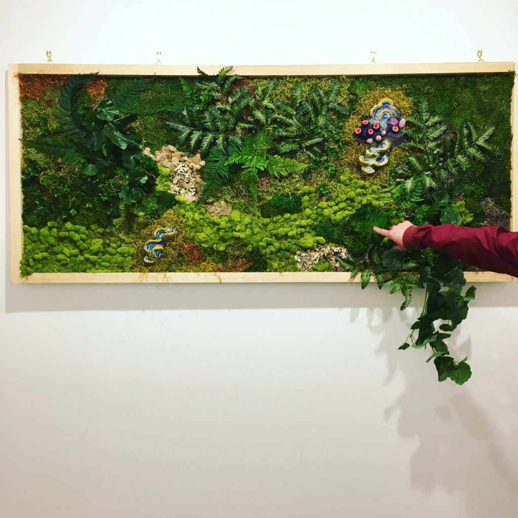 The artist collects plant specimens to include in her work.