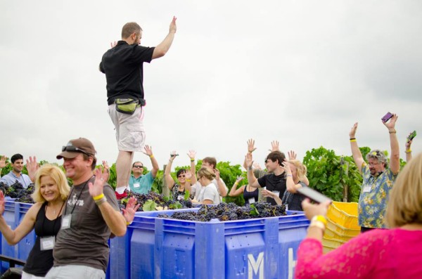 The festival is going on now and continues through late August. 