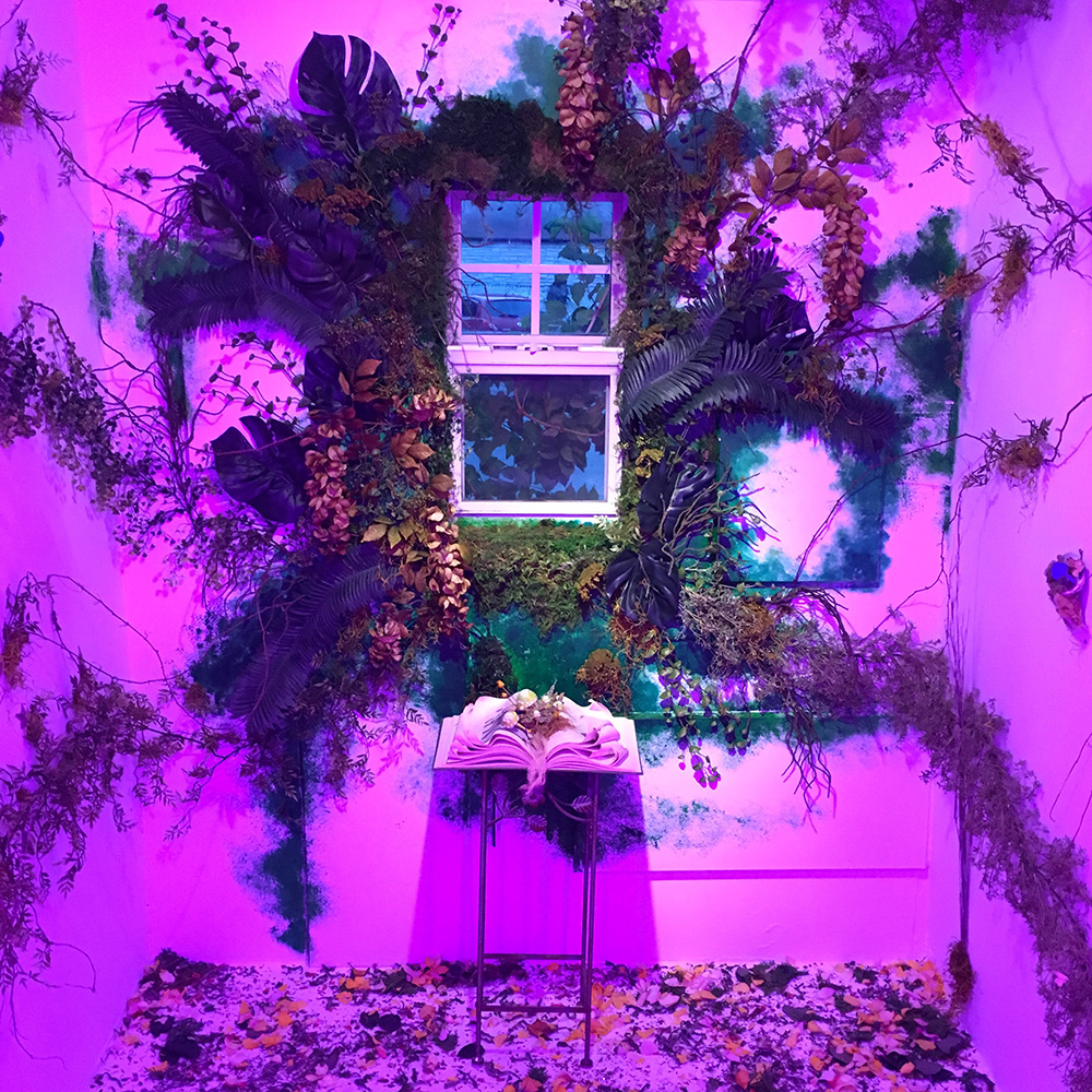 Another one of Shamsy's botanical installations.