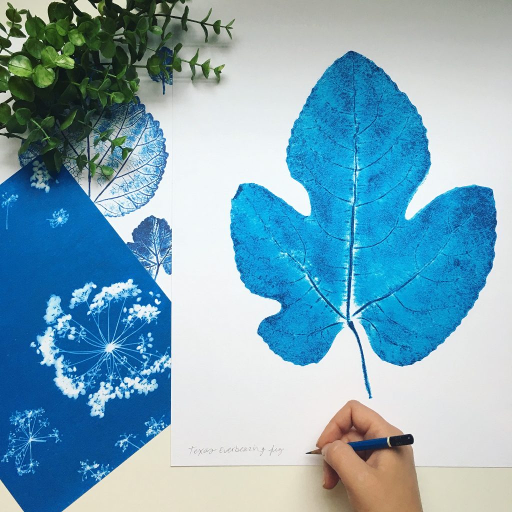 The artist's Cyanotypes are sold at West Elm and other stores. 