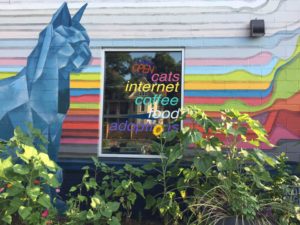 austin blue cat cafe