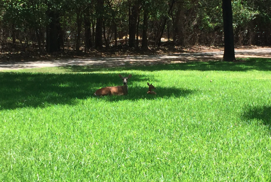 It's best to stick to the shadows--@amymorgan1996