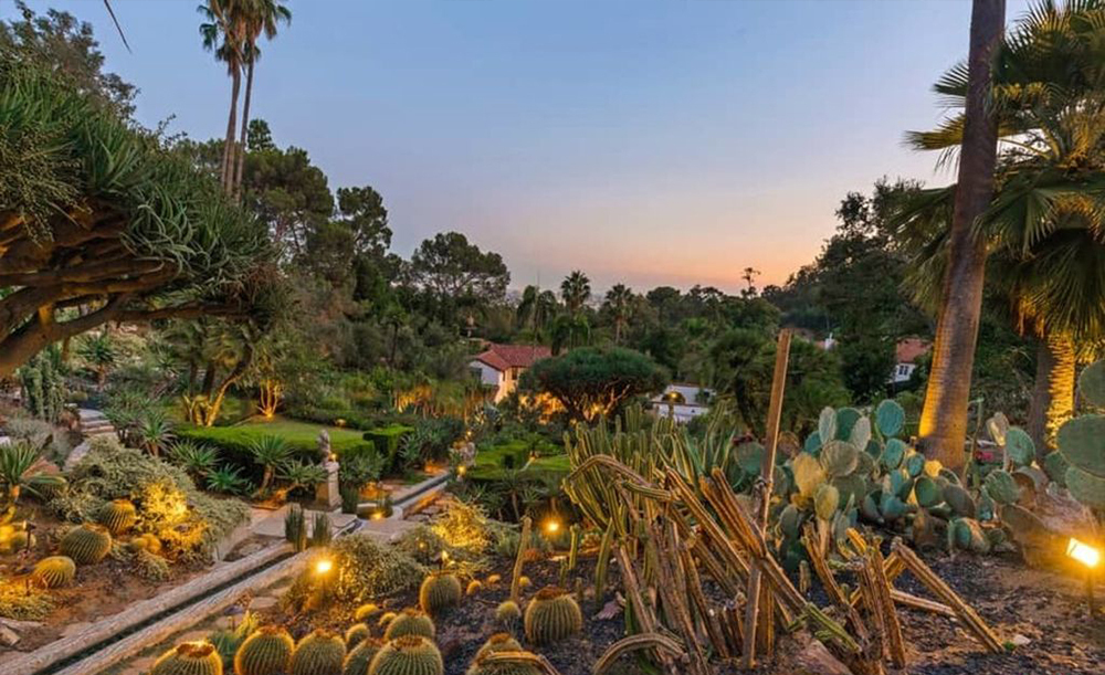 The garden features a bold blend of tropical plants and cacti. 