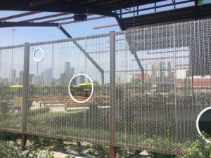 saint arnold dissolving building