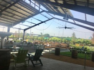 saint arnold picnic