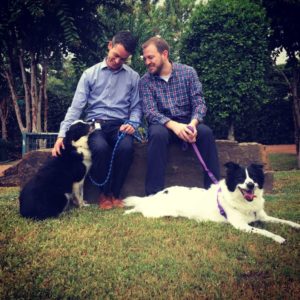 dog video Houston humane society 1