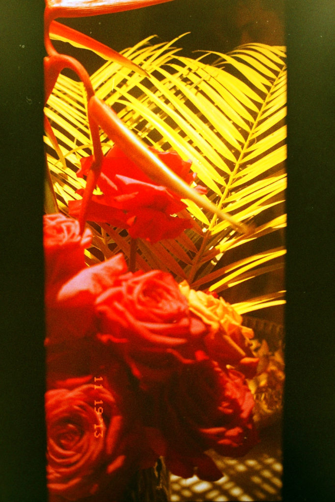 Scenes from House of Plates' Garden Party 