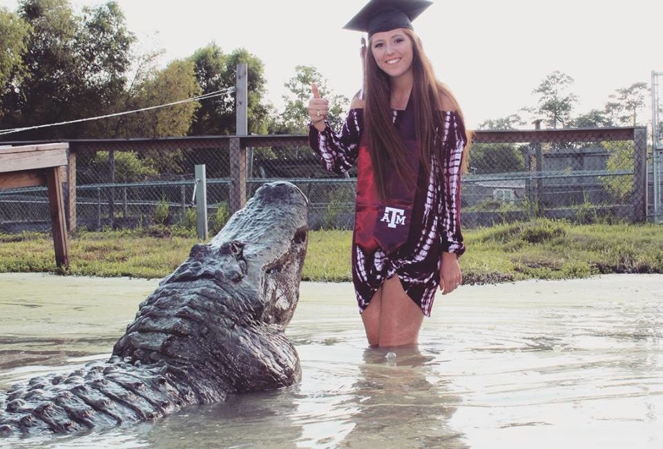 alligator a&m