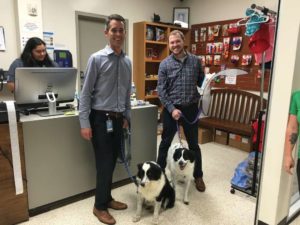 houston humane society 2