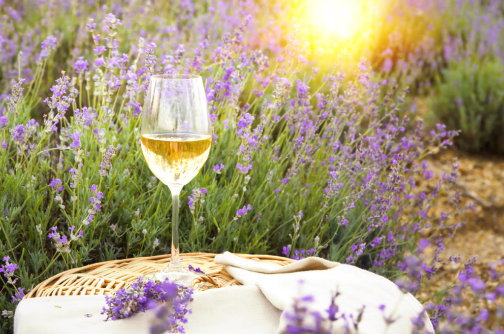 provence wines