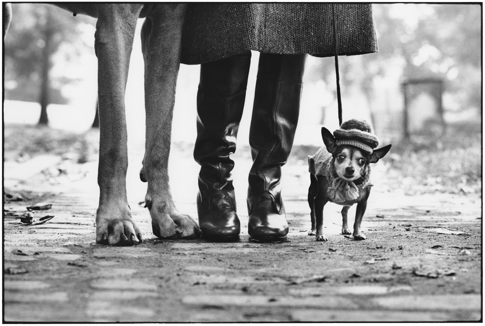 【ELLIOTT ERWITT / PERSONAL BEST】 The new teNeues book 
