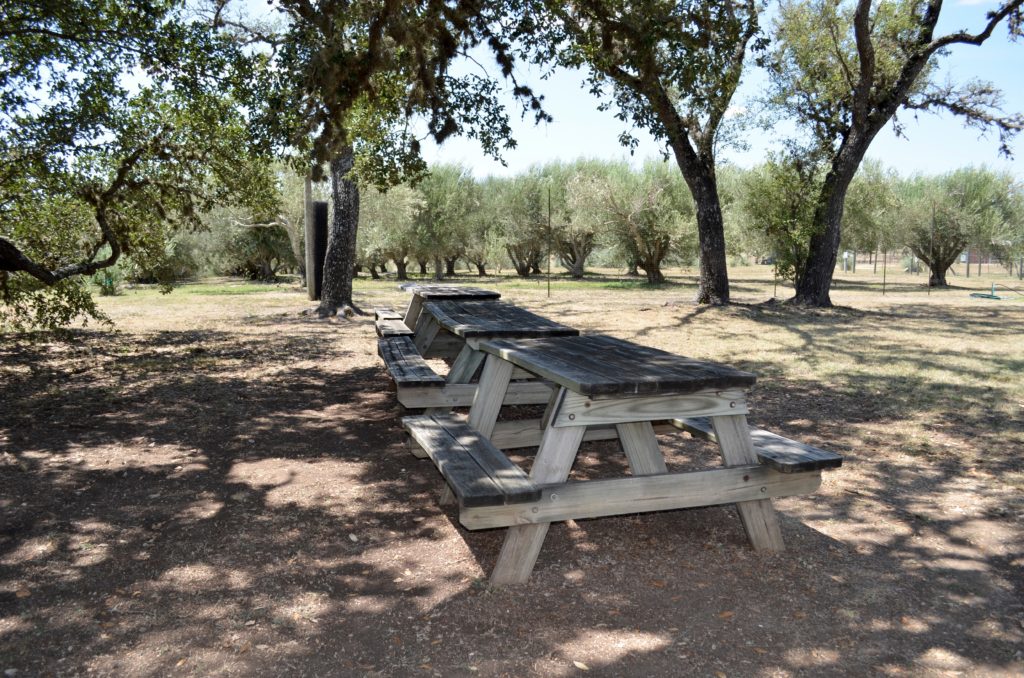 Bella Vista Ranch gives tours every Saturday. 