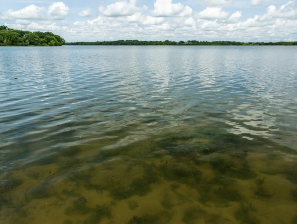 The lake goes up to 38 feet deep. 