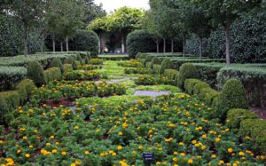 fall dallas arboretum