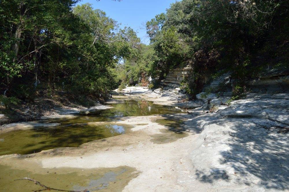 Oak Cliff Nature Preserve Trail is a beautiful, moderate hike. 