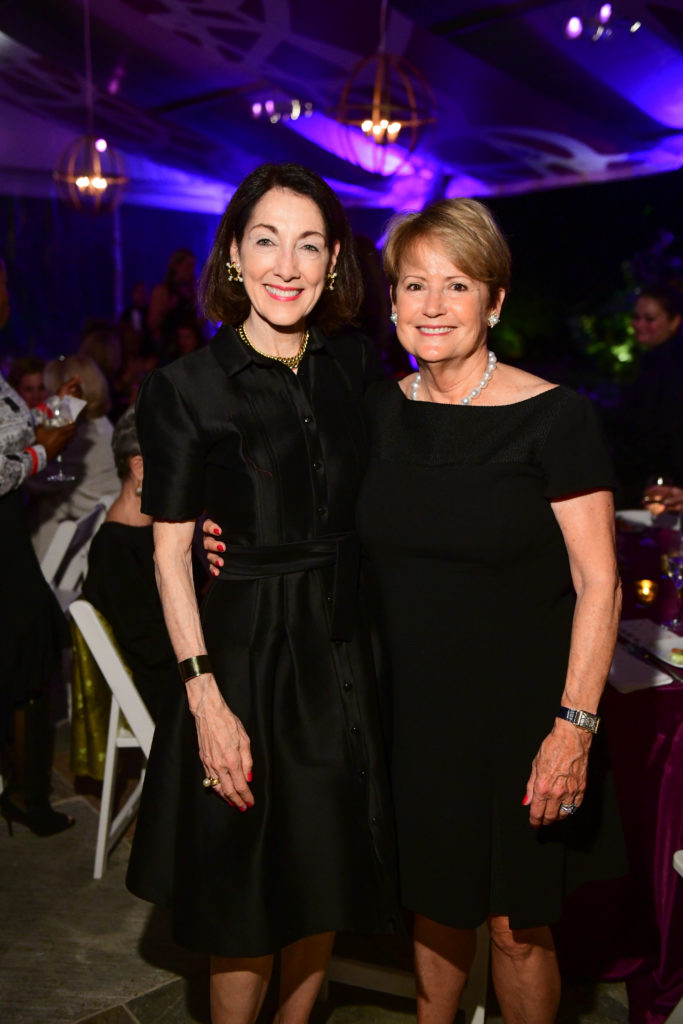 CAMH Another Great Night in November 2018