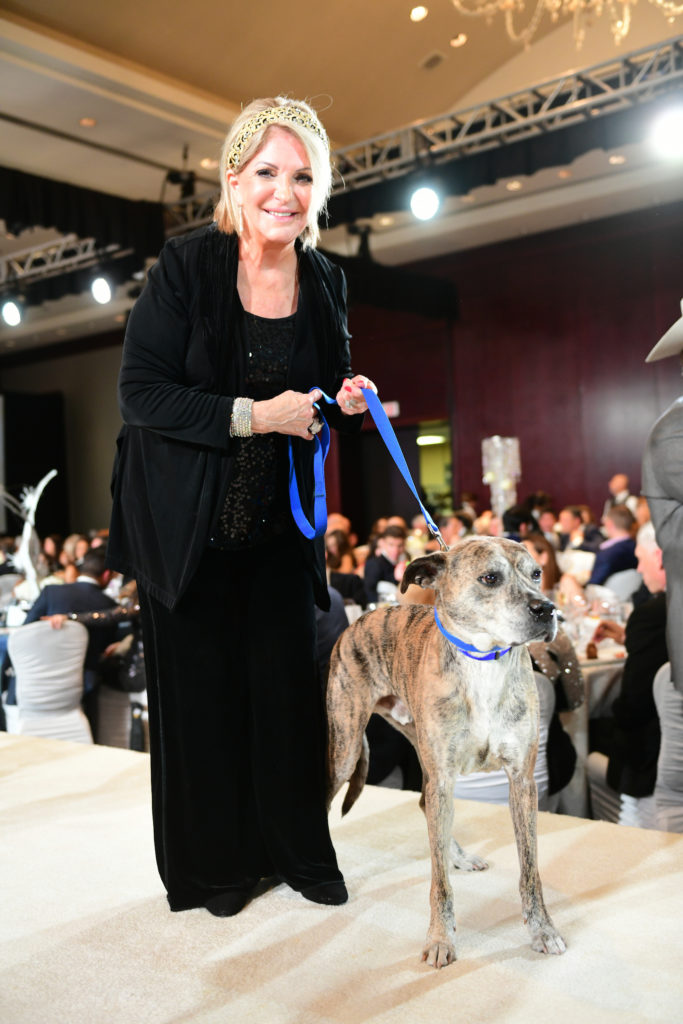 Citizens for Animal Protection Gala at the Royal Sonesta hotel 