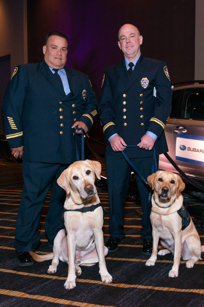 Citizens for Animal Protection Gala at the Royal Sonesta hotel on Saturday, November 17, 2018.