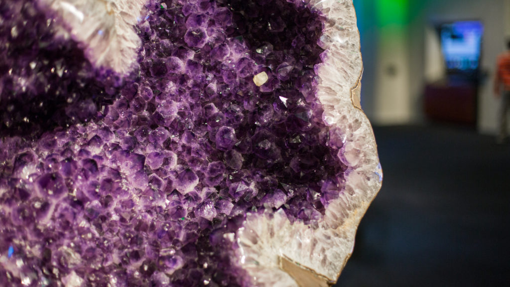 The Perot Museum of Nature and Science's Night at the Museum Gala is this Saturday — and the food is going to rock