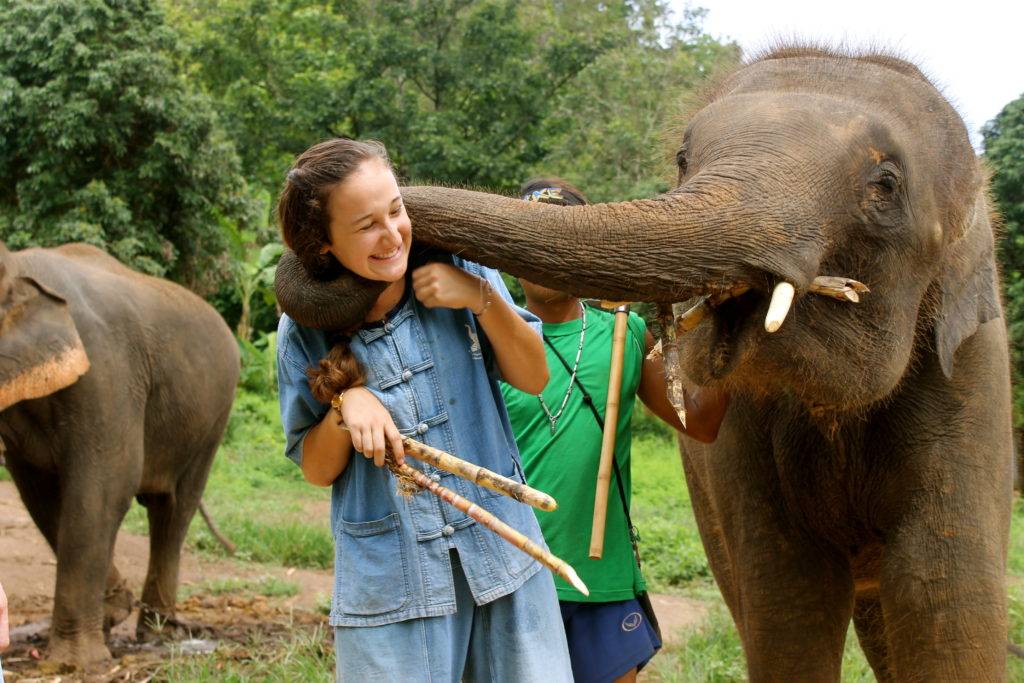 Students can choose from 21 programs in 16 countries on 5 continents this summer.