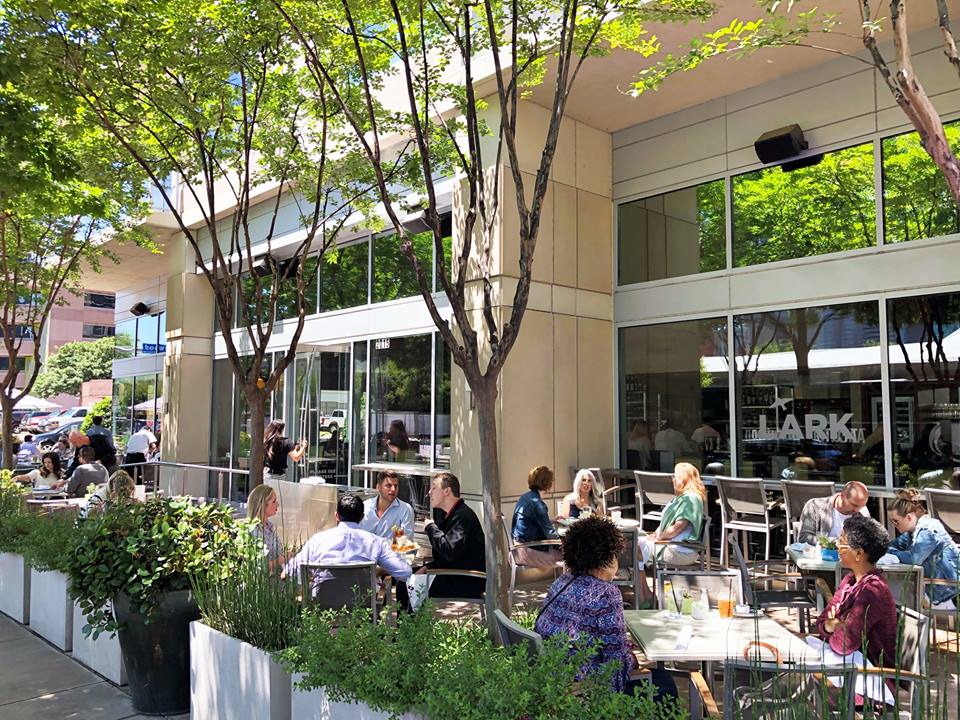 Lark on the Park shutters on Sunday. 