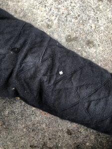 snow @AlyJwriter nov 13 houston