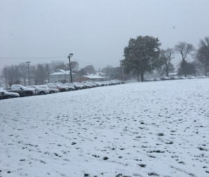 snow @alarcon_marissa