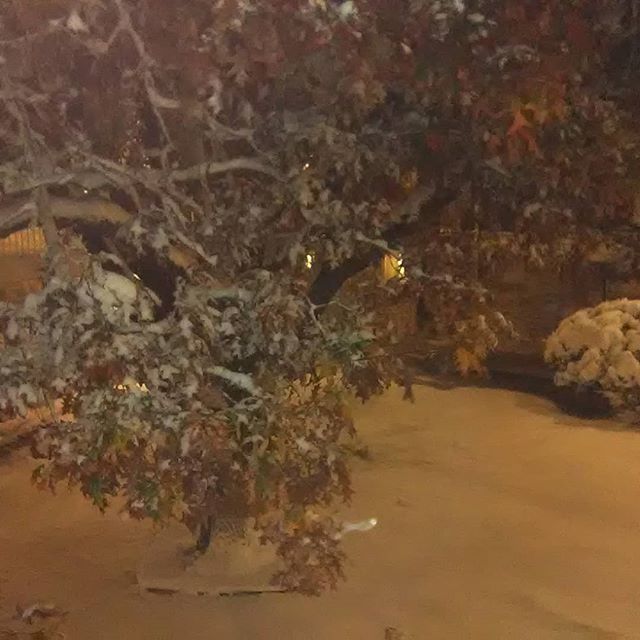 The panhandle got a nice dusting — Photo by Glenda Coryell 