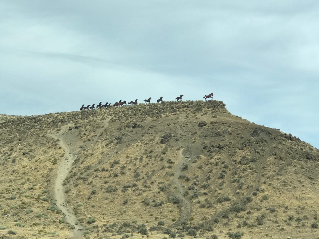 Wild Horses Monument, Columbia River Gorge