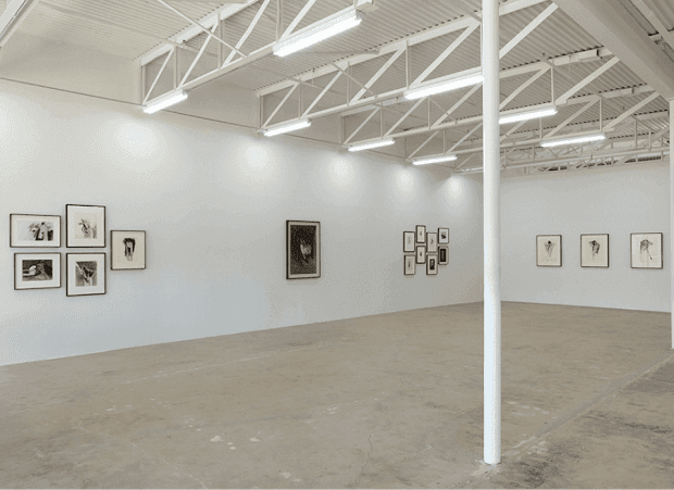 Led by whip-smart curator Temple Shipley, Galerie Frank Elbaz in the Design District has a bright future.