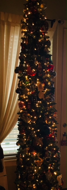 The Kenney family's tree