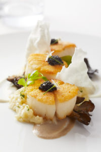 eau palm beach resort and hotel breeze cafe