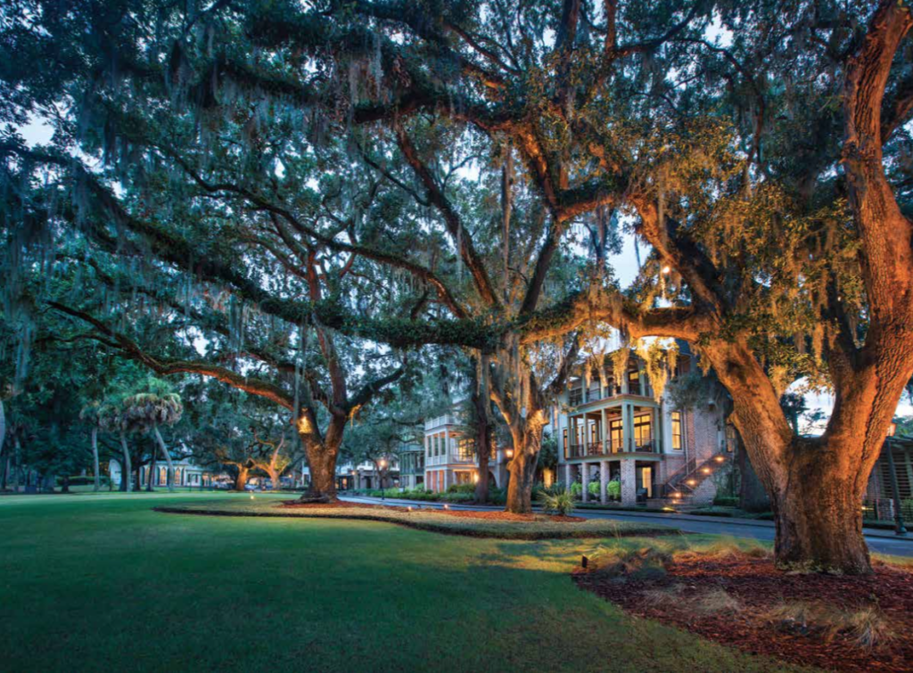 Palmetto Bluff South Carolina Low Country