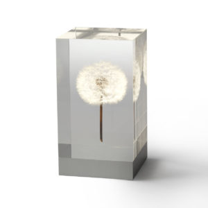 Dandelion Objet D'Art Moma Store