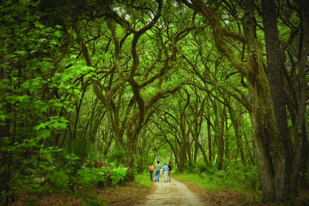 The nature trails of the property will remind you of nature's extravagant beauty.